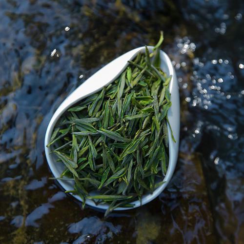 2023년 신차 창싱 핵심산지 고저자순 고산 녹차 춘차 명전 진한향 50g