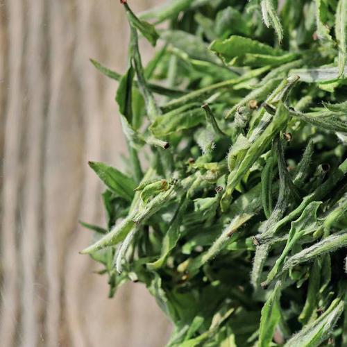 명전 증청 2023년고저자순 녹차 화향 청향