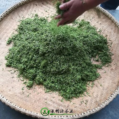 두채 호남 고장모첨 2023명전 신차 특급 호남상서 특산 초청 녹차 춘차