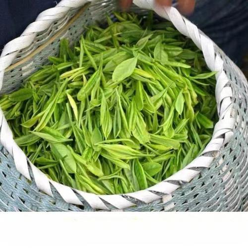 고장모첨 호남상서 특급 2023 신차 명전 발아 모첨 진한향 운무 녹차 258g