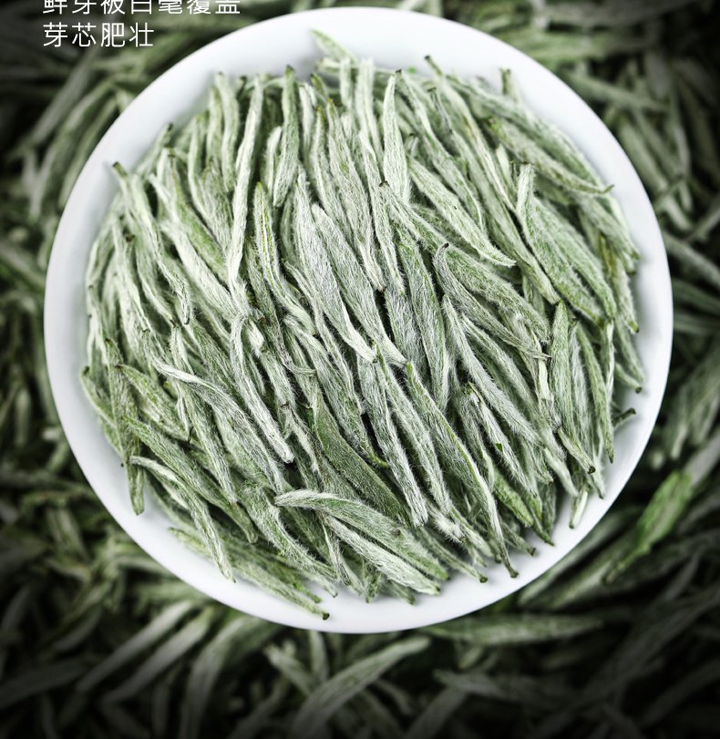 정통 푸딩백차 유명한 백호모첨차 - 오너클랜