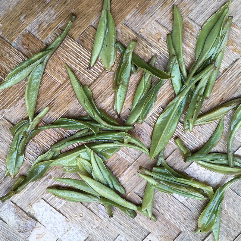 2023년 신차 창싱 고저자순 원산지핵심산지 자순 녹차 2023년 신차 창싱 고저자순 원산지핵심산지 자순 녹차