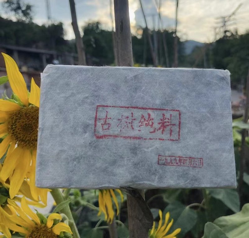 사1997년 대설산 고수 숙차 500g 보이차 사각